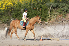 Greece-South Aegean-Learn to Ride on Lesvos Island